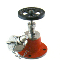 Fire Hydrant Valve In India