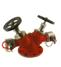 Fire Hydrant Valve in india